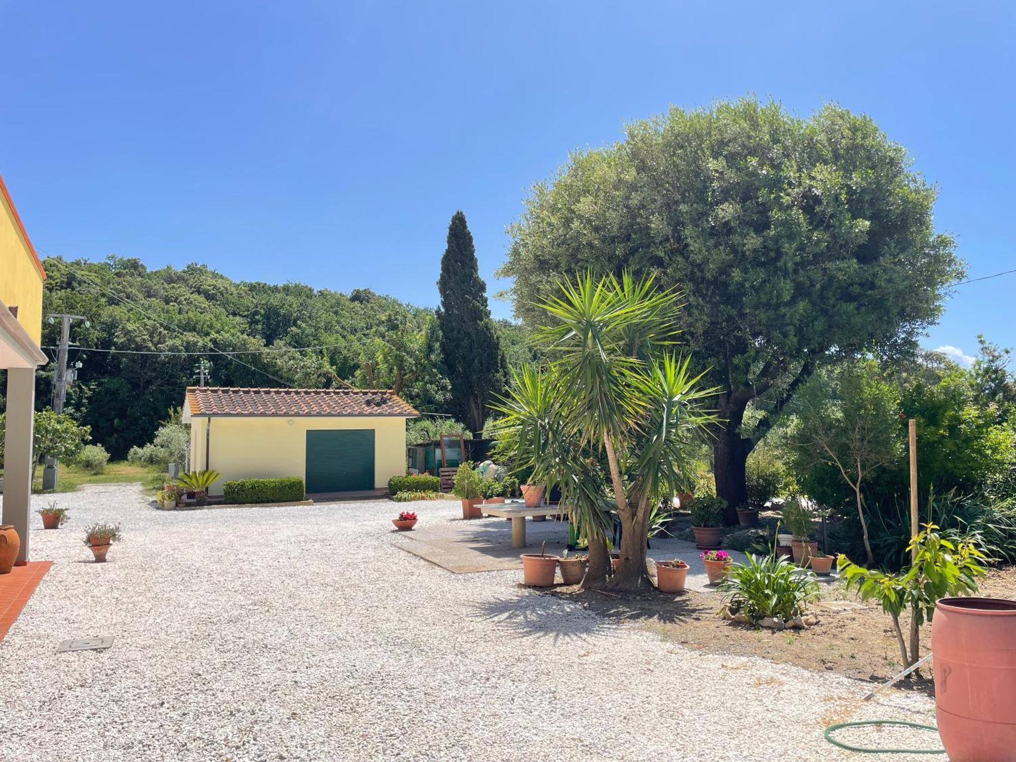 Il Leccio Agriturismo Fiorino Bagian luar foto
