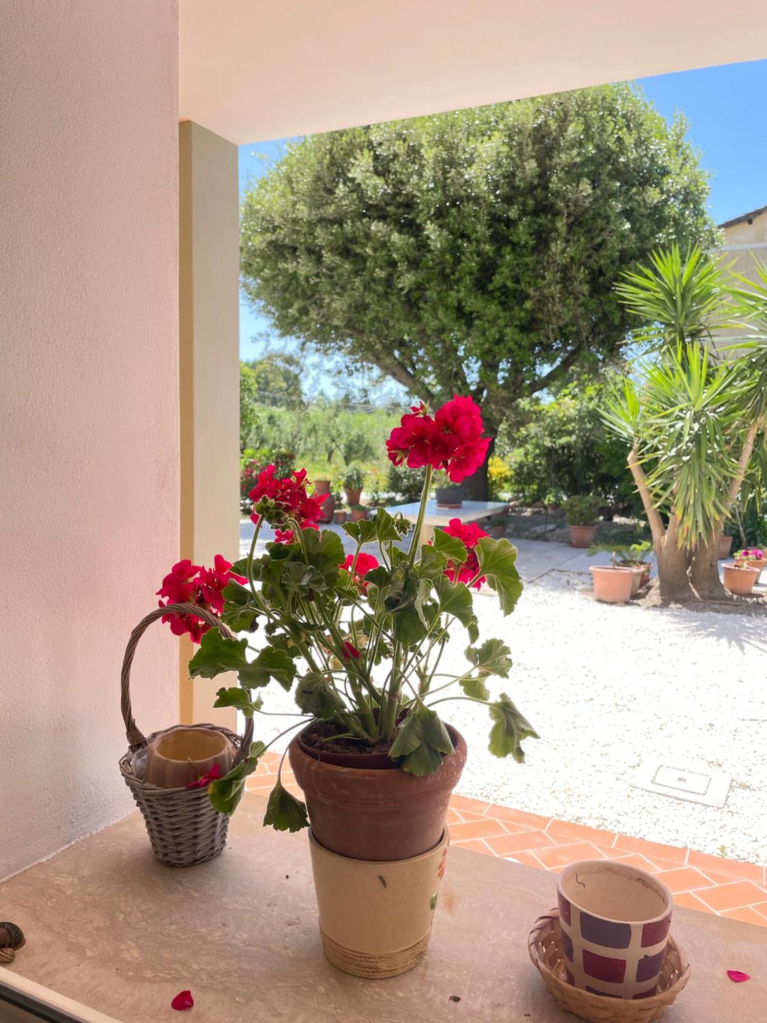 Il Leccio Agriturismo Fiorino Bagian luar foto