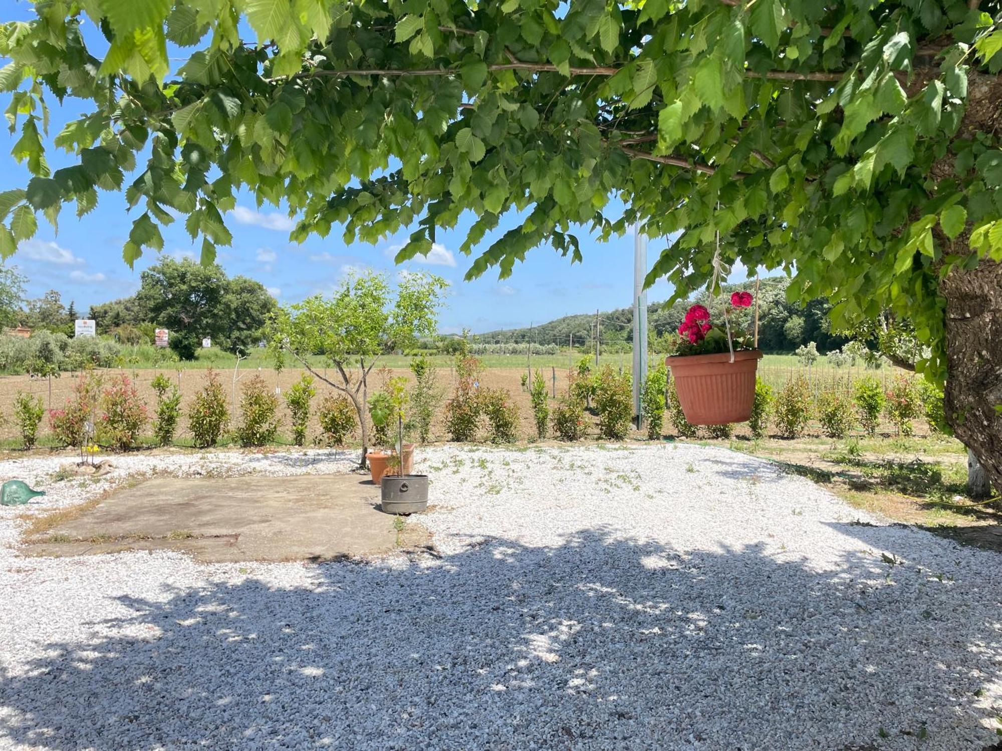 Il Leccio Agriturismo Fiorino Bagian luar foto