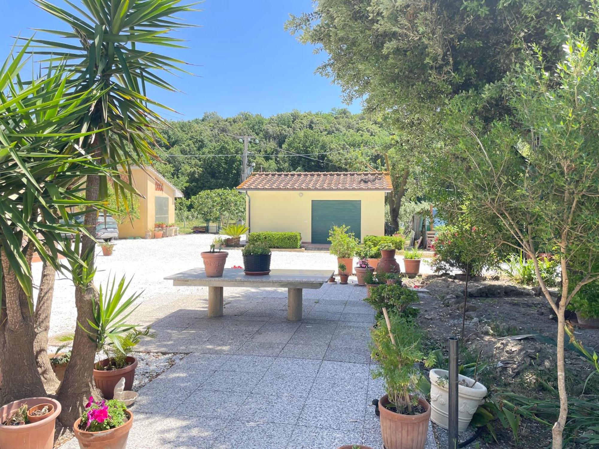 Il Leccio Agriturismo Fiorino Bagian luar foto