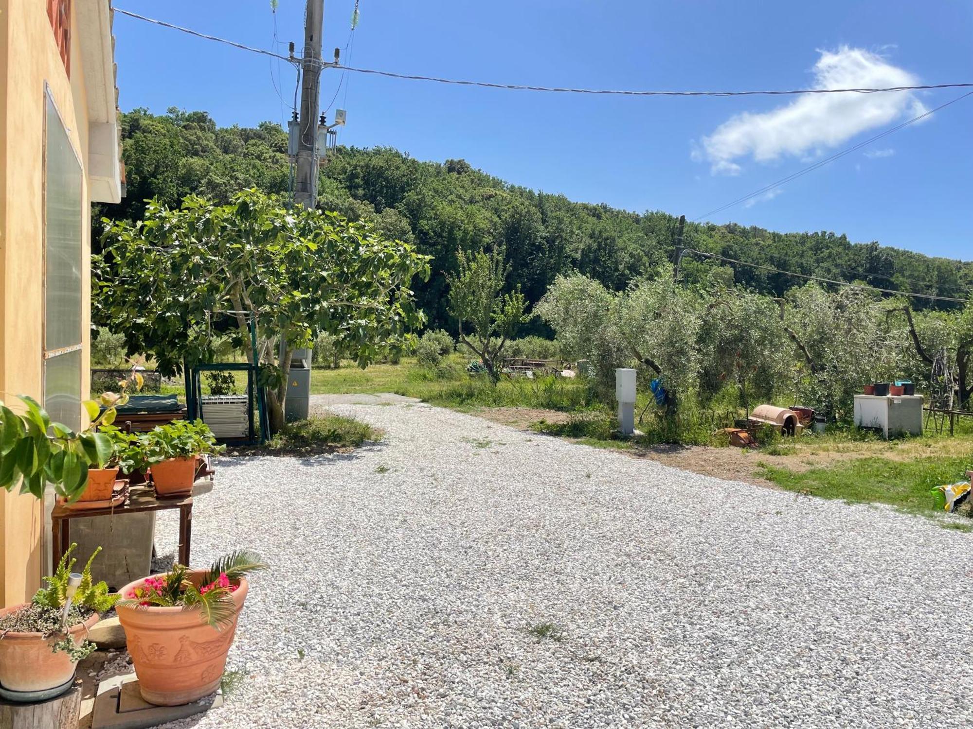 Il Leccio Agriturismo Fiorino Bagian luar foto