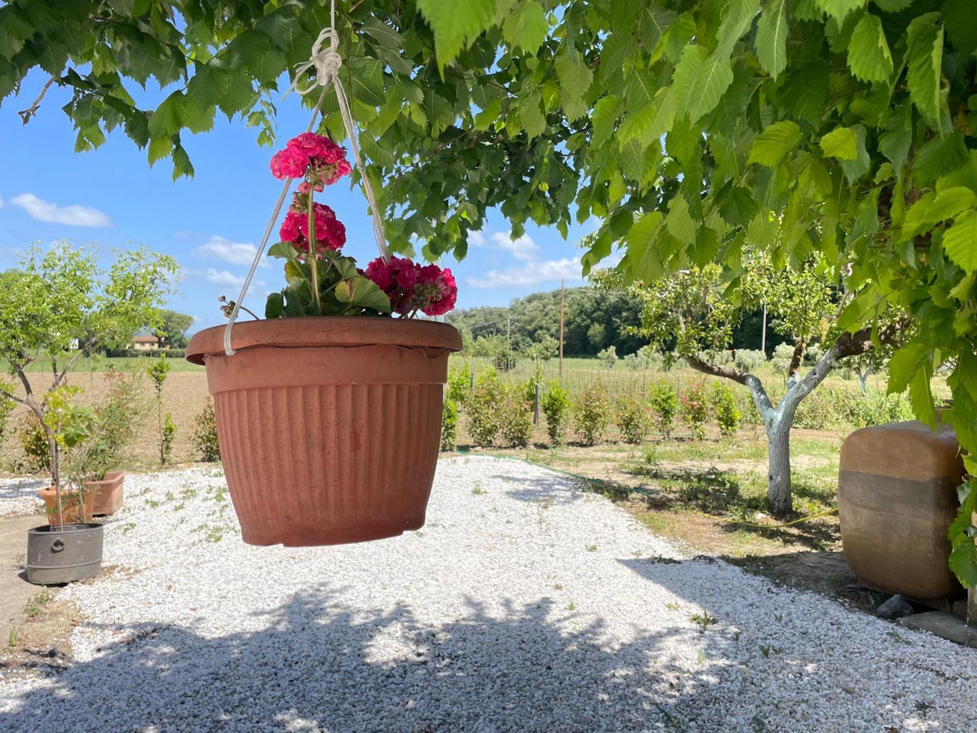 Il Leccio Agriturismo Fiorino Bagian luar foto