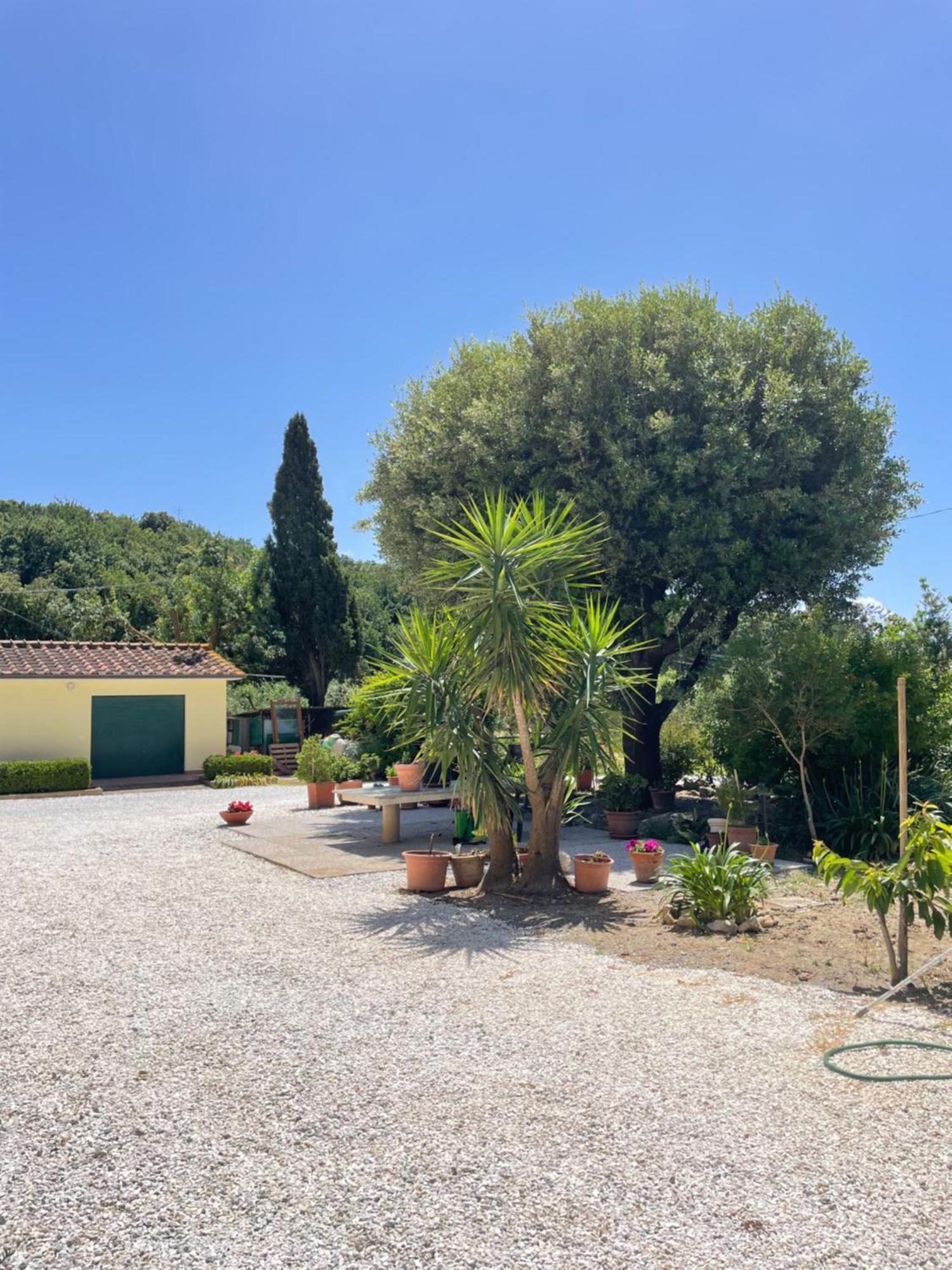 Il Leccio Agriturismo Fiorino Bagian luar foto
