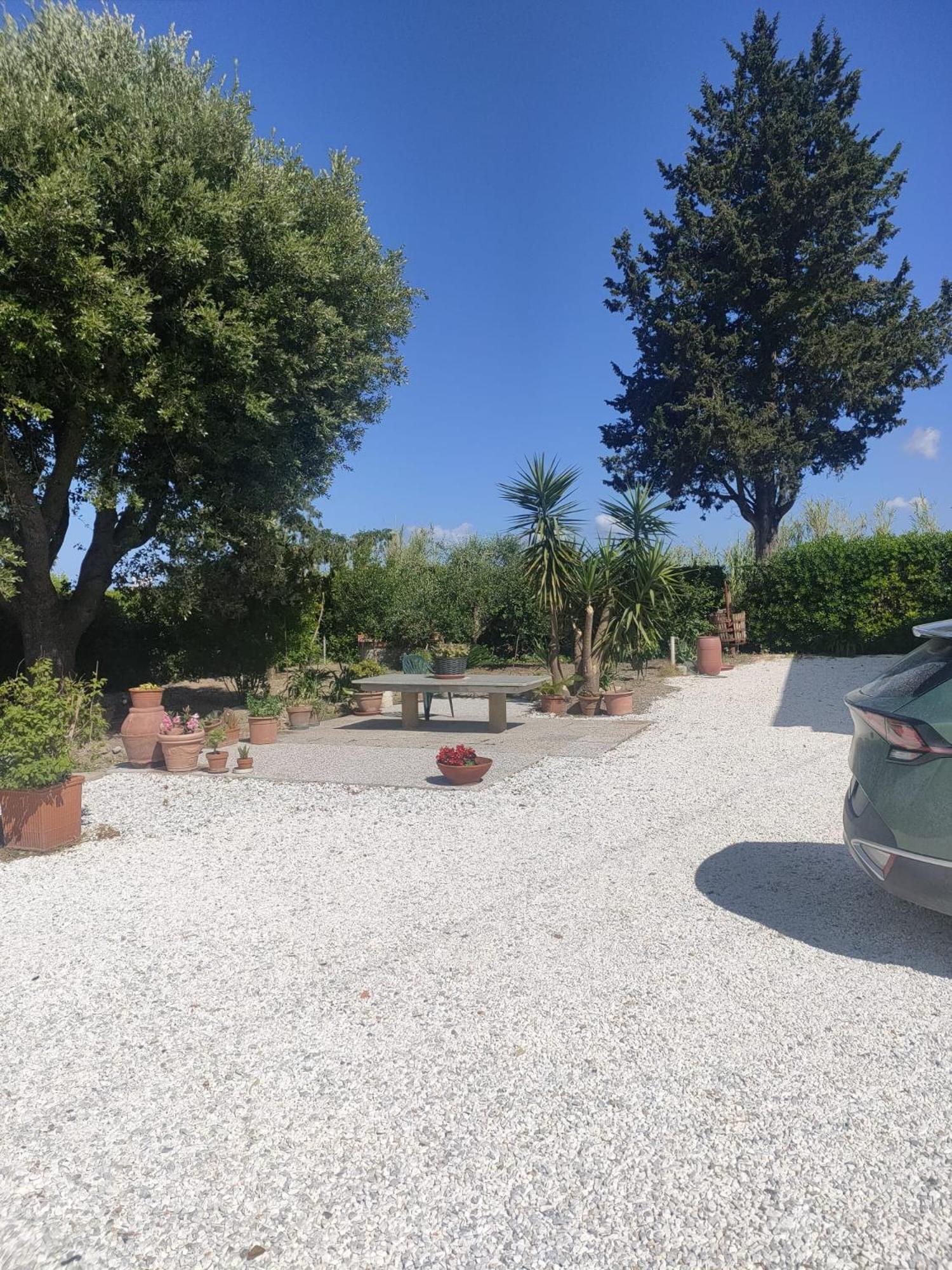 Il Leccio Agriturismo Fiorino Bagian luar foto