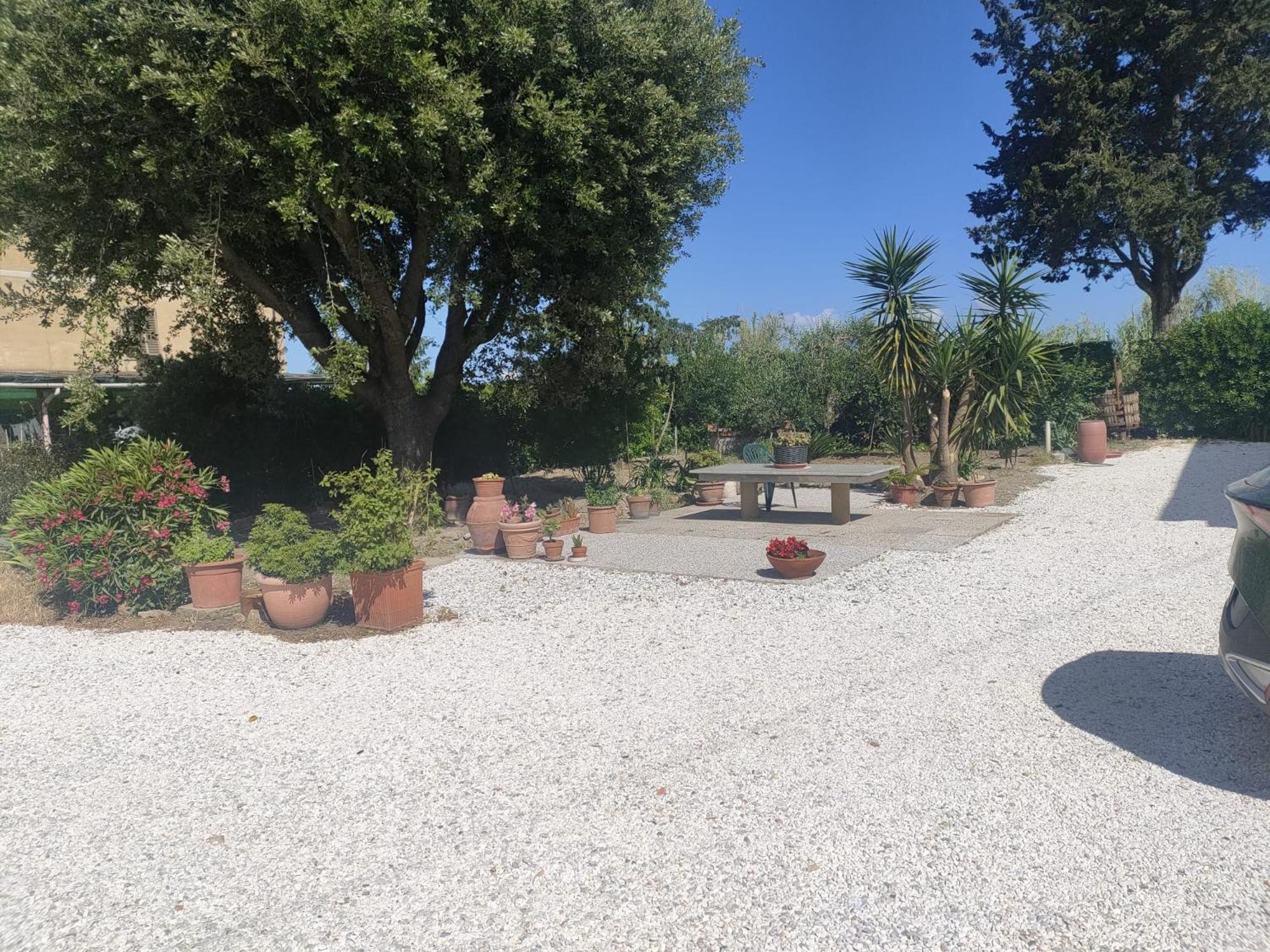 Il Leccio Agriturismo Fiorino Bagian luar foto
