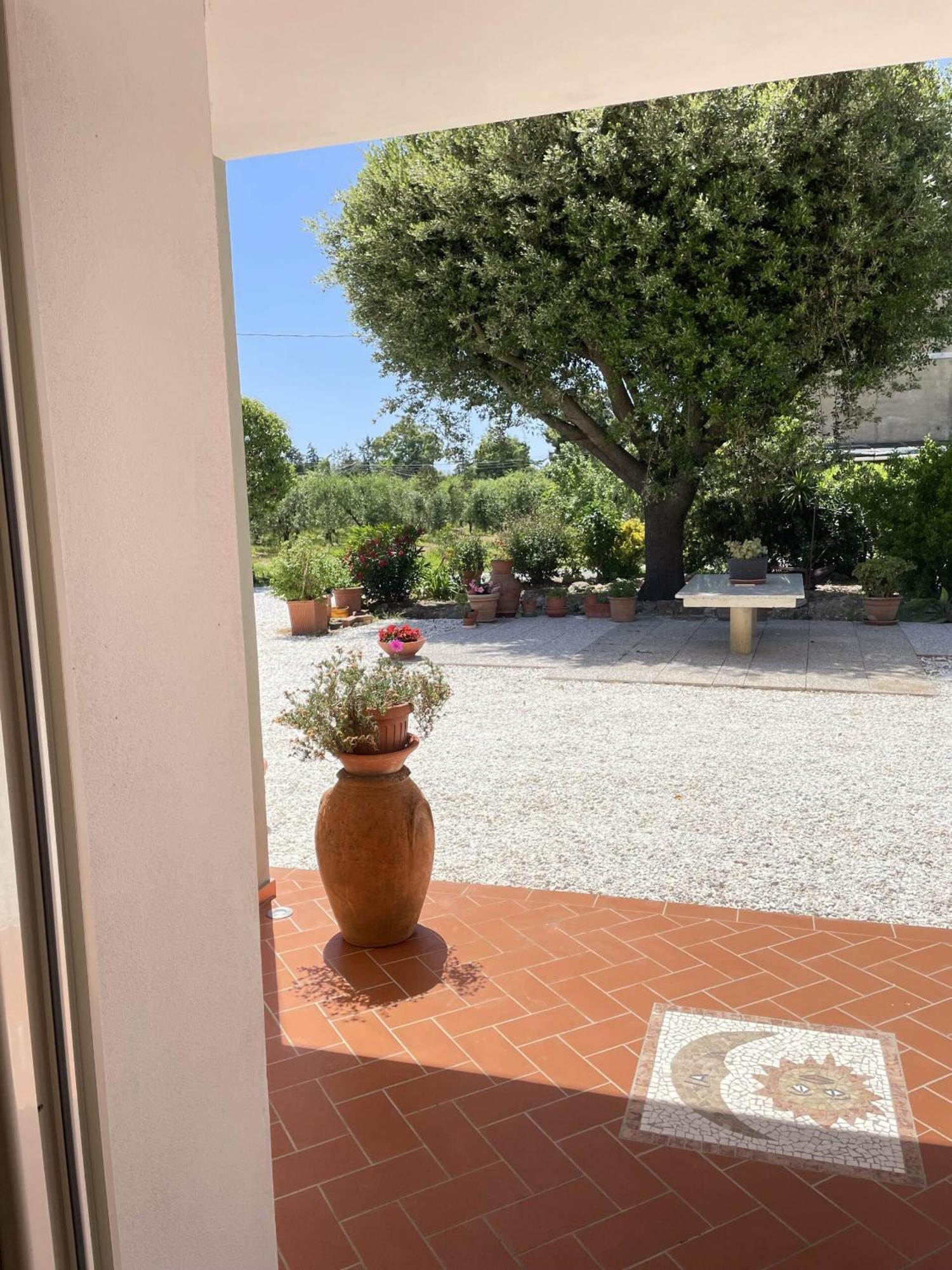 Il Leccio Agriturismo Fiorino Bagian luar foto